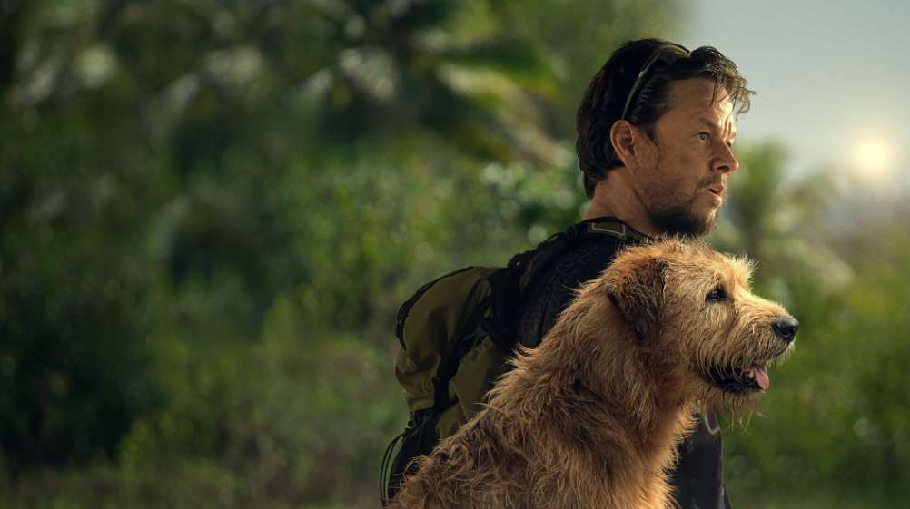 Arthur – Una Amistad Sin Límites en línea en Tele Latino