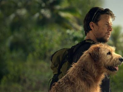 Arthur – Una Amistad Sin Límites en línea en Tele Latino